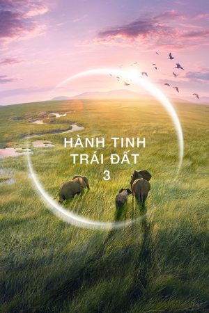 Hành Tinh Trái Đất 3